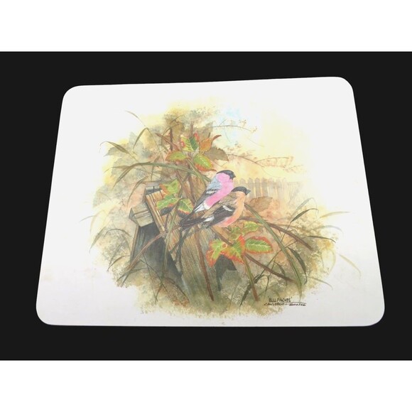 Kelsey Stonehouse Melamine Placemats Garden Birds 6 in Box - Picture 7 of 11